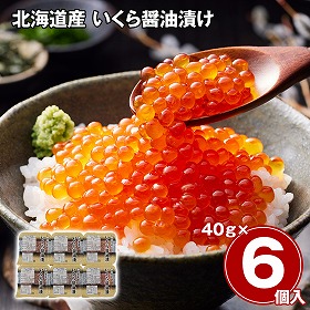 北海道産 いくら醤油漬け 240g イクラ【送料込み】【二重包装不可】【お届け不可地域：離島】