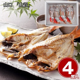 山口 山賀 のどぐろ開き0℃熟成干し 4尾セット 魚介 ノドグロ【送料込み】【二重包装不可】【お届け不可地域：離島】