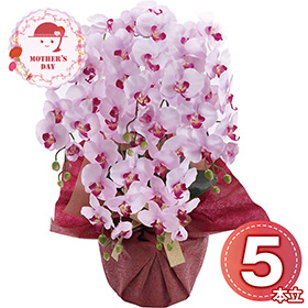 【母の日2026】アーティフィシャルフラワー 5本立ち胡蝶蘭 ラベンダー 25-MD-08-L 1852-199【送料込み】【二重包装不可】【お届け不可地域：北海道・沖縄・離島】【お届け日時指定不可】