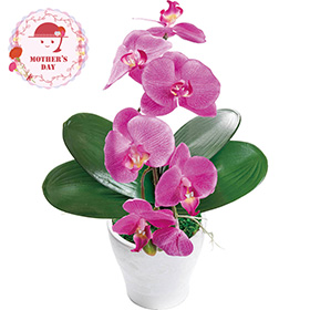 【母の日2026】アーティフィシャルフラワー胡蝶蘭カラーズ ダークラベンダー 26-MD-11-LV 1852-290【送料込み】【お届け不可地域：北海道・沖縄・離島】【お届け日時指定不可】