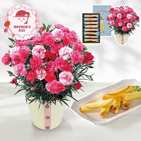 【母の日2026】カーネーション さくらもなか とOIMO MERCI ラングドロール 花 スイーツ【送料込み】【二重包装不可】【お届け不可地域：離島】【お届け日時指定不可】_81004