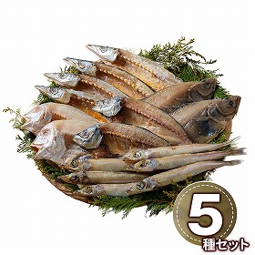 山陰海鮮一夜干しセット 6366-50 1894-907 魚介 干物【送料込み】【二重包装不可】【お届け不可地域：北海道・沖縄・離島】