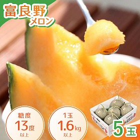 富良野メロン 5玉入り フルーツ 果物 メロン 北海道 ふらの【送料込み】【二重包装不可】【お届け不可地域：沖縄】【お届け日時指定不可】