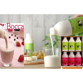 Boccaの飲むヨーグルト&ラッシーセットB 500mL×計6本【送料込み】【二重包装不可】