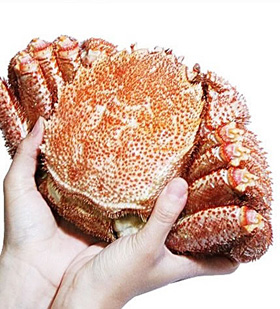 北海道特産品 かに 浜茹で毛ガニ特大(雄武産 1尾700g前後) 【送料込み】