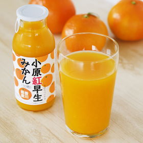 小原紅早生みかんジュース　10本セット【送料込み】