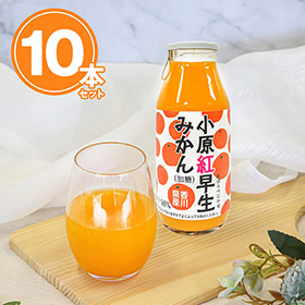 小原紅早生みかんジュース(加糖) 10本セット【送料込み】