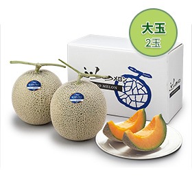 富良野メロン 大玉 2玉【送料込み】【二重包装不可】【お届け日指定不可】【お届け不可地域：沖縄・離島】