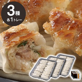 業務用 餃子 3種セット KNS-3 中華 点心 ぎょうざ ギョウザ【送料込み】【お届け不可地域：北海道・沖縄・離島】