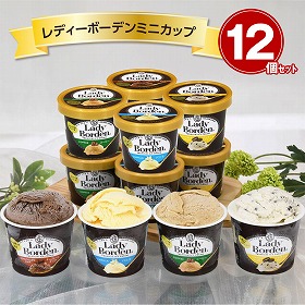 レディーボーデンミニカップ12個セット R895T スイーツ アイスクリーム【送料込み】【お届け不可地域:離島】