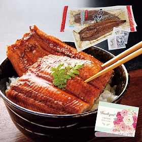【母の日2025】鹿児島県産 うなぎ長蒲焼セット 和風惣菜 蒲焼き【送料込み】【二重包装不可】【お届け不可地域：離島】【お届け日時指定不可】_81054