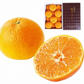 3%OFF【お中元2025】佐賀県産 ハウスみかん1kg 4726-054 フルーツ 果物【送料込み】【二重包装不可】【お届け不可地域：北海道・沖縄・離島】【お届け日時指定不可】
