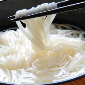 稲庭吟祥堂本舗 手綯い稲庭うどん 麺 うどん【送料込み】【二重包装不可】【お届け不可地域：離島】