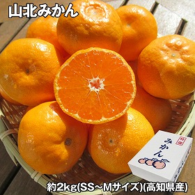 山北みかん 約2kg(SS～Mサイズ) フルーツ 果物【送料込み】【お届け不可地域：離島】