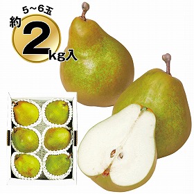 【お歳暮2025】いずみ会の山形産ラ・フランス約2kg 9830-012 フルーツ 果物【送料込み】【二重包装不可】【お届け不可地域:北海道・沖縄・離島】【お届け日時指定不可】