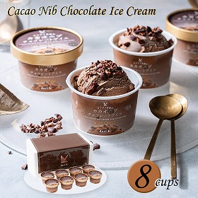 京都 dari K ザクザク食感のカカオニブチョコレートアイス　8個セット スイーツ アイスクリーム ダリケー チョコ チョコレート【送料込み】【二重包装不可】【お届け不可地域：離島】