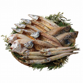 山陰海鮮一夜干しセット 6366-50 4824-280 魚介 干物 惣菜【送料込み】【二重包装不可】【お届け不可地域：北海道・沖縄・離島】