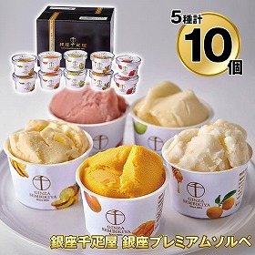 銀座千疋屋 銀座プレミアムソルベ 計10個 PGS-138N 4828-163 スイーツ アイスクリーム【送料込み】【二重包装不可】【お届け不可地域：北海道・沖縄・離島】