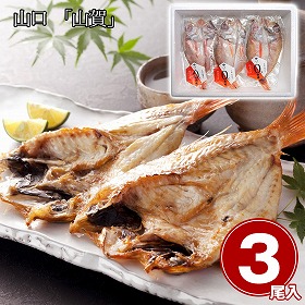 山口 山賀 のどぐろ開き0℃熟成干し 3尾セット 魚介 ノドグロ【送料込み】【二重包装不可】【お届け不可地域：離島】