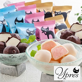 【猫の日2026】イーペルの猫祭り プチチョコアイス AH-EPS スイーツ 洋菓子 アイスクリーム 猫 ネコ ねこ【送料込み】【二重包装不可】【お届け不可地域：離島不可】