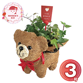 【母の日2026】おさんぽクマさん3号 1853-949 ベア グリーン【送料込み】【二重包装不可】【お届け不可地域：北海道・沖縄・離島】【お届け日時指定不可】