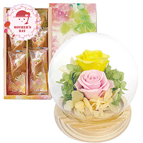 【母の日2026】スフィアドームアレンジ 希 のぞみ イエロー＆花束のデザート6個入ギフトセット 1854-674【送料込み】【お届け不可地域：北海道・沖縄・離島】【お届け日時指定不可】