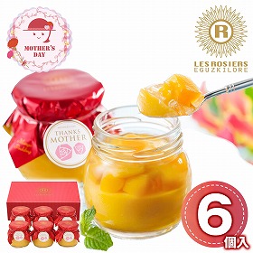 【母の日2026】銀座京橋 レ ロジェ エギュスキロール 銀座マンゴープリン M-YJ-GM スイーツ 洋菓子 プリン【送料込み】【二重包装不可】