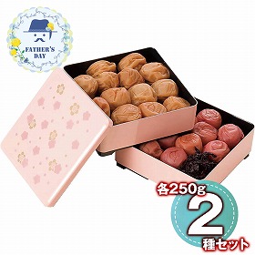 【父の日2026】紀州南高梅 ～雅～ 重箱仕立て 6567-50P 1856-806 梅干し はちみつ梅【送料込み】【二重包装不可】【お届け不可地域：北海道・沖縄・離島】【お届け日時指定不可】