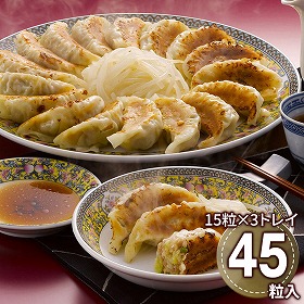 浜松餃子 HG-3 1896-115 ぎょうざ ギョーザ【送料込み】【お届け不可地域：北海道・沖縄・離島】