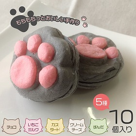 くろねこのしおちゃん10個入り スイーツ お菓子 ネコ 猫【送料込み】【二重包装不可】【お届け不可地域：北海道・沖縄・離島】