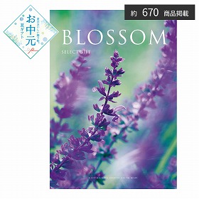 【お中元2026】ブロッサム サルビア カタログギフト【送料込み】【二重包装不可】_1081