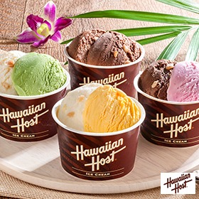 【10％OFFセール】ハワイアンホースト マカダミアナッツアイス AH-HS【送料込み】【お届け不可地域：離島】【二重包装不可】