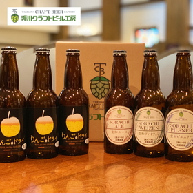 北海道 旭川 滝川クラフトビール りんご&ドライ入り6本セット【送料込み】