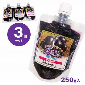 ガーデン ハックルベリー SOーSU 250g入り3個セット パウチ 岩手県奥州市産【送料込み】