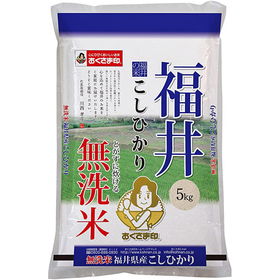 無洗米福井県産こしひかり 5kg【送料込み】