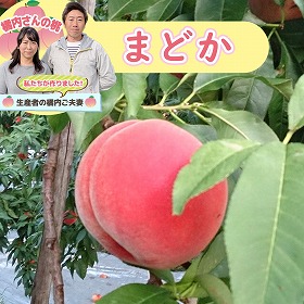 橘内さんの桃 まどか 3kg【送料込み】【お届け不可地域:沖縄・離島】【お届け日の指定不可】