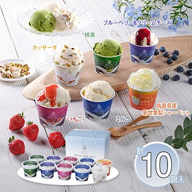 収穫祭10個入 鳥取 大山乳業 アイスクリーム シャーベット 詰合せ【送料込み】【二重包装不可】