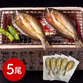 岐阜 創業明治10年 鵜舞屋 鮎一夜干し5尾 和風惣菜 アユ 魚【送料込み】【二重包装不可】【お届け不可地域：離島】