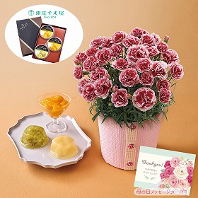 【母の日2025】カーネーション いちごホイップ と「銀座千疋屋」銀座ゼリー フラワーギフト 花【送料込み】【二重包装不可】【お届け不可地域：離島】【お届け日時指定不可】_81033