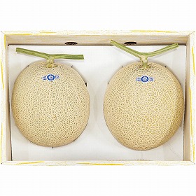 【お中元2025】静岡県産 アールスメロン B10-2 フルーツ 果物【送料込み】【二重包装不可】【お届け不可地域:離島】【お届け日時指定不可】_629