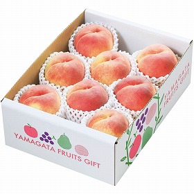 【お中元2025】山形県産 白桃 JTYH9 フルーツ 果物 桃【送料込み】【二重包装不可】【お届け不可地域:離島】【お届け日時指定不可】_639