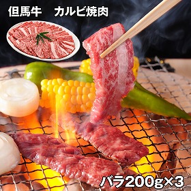 但馬牛 カルビ焼肉600ｇ 牛肉【送料込み】【お届け不可地域：離島】