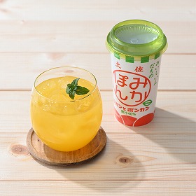 みかぽんドリンク ジュース 飲料【送料込み】【二重包装不可】【お届け不可地域：離島】