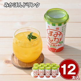 みかぽんドリンク 12本 ジュース 飲料【送料込み】【二重包装不可】【お届け不可地域：離島】