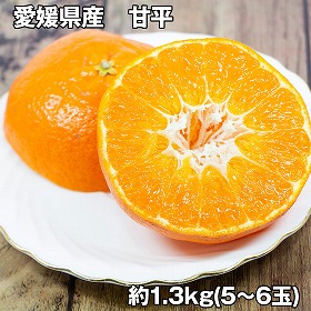 愛媛県産 甘平 1.3kg フルーツ 果物【送料込み】【お届け不可地域：離島】