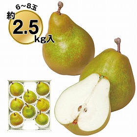 【お歳暮2025】いずみ会の山形産ラ・フランス約2.5kg 9830-024 フルーツ 果物【送料込み】【二重包装不可】【お届け不可地域:北海道・沖縄・離島】【お届け日時指定不可】