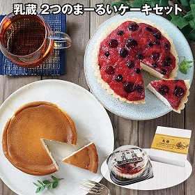 乳蔵 2つのまーるいケーキセット 440107 4827-983 スイーツ 洋菓子【送料込み】【二重包装不可】【お届け不可地域：北海道・沖縄・離島】