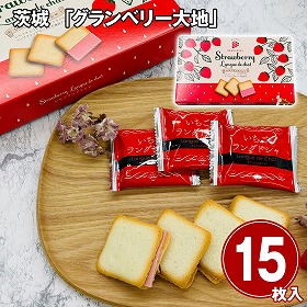 茨城 グランベリー大地 いちごラングドシャ 15枚入り スイーツ 洋菓子【送料込み】【二重包装不可】【お届け不可地域：離島】