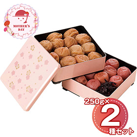 【母の日2026】紀州南高梅 ～雅～ 重箱仕立て 6567-50P 1853-355 梅干し【送料込み】【二重包装不可】【お届け不可地域：北海道・沖縄・離島】【お届け日時指定不可】