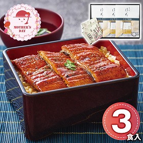 【母の日2026】清水五条 京料理 ほった 監修 うなぎ蒲焼 鰻 蒲焼き【送料込み】【二重包装不可】【お届け不可地域：離島】【お届け日時指定不可】_81058